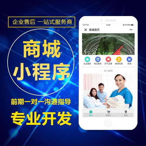 专业小程序制作 深圳网站建设 深圳市网商汇信息技术